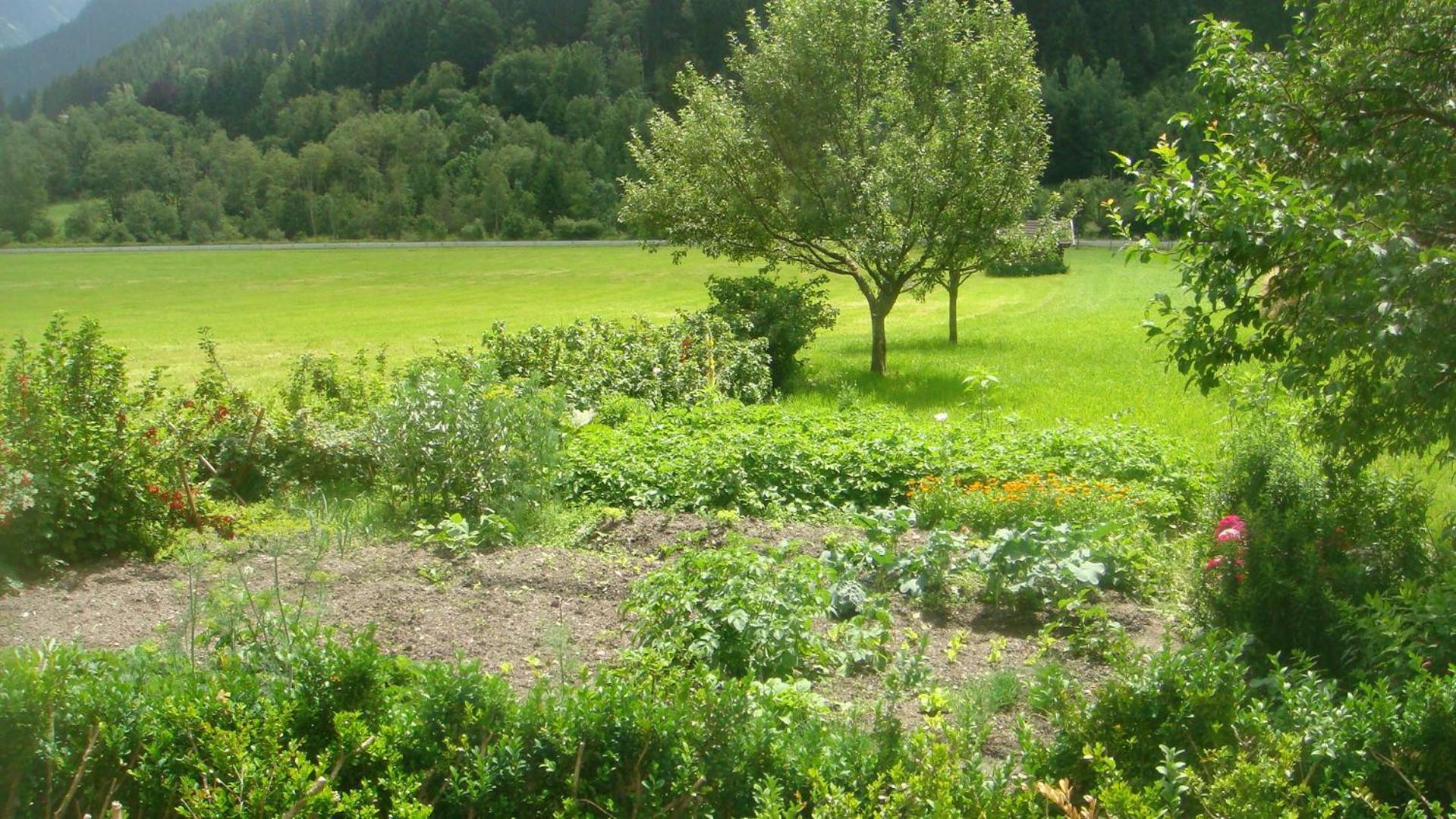 Bio-Bauernhof Obertrattenbachhof Neukirchen am Grossvenediger Ngoại thất bức ảnh