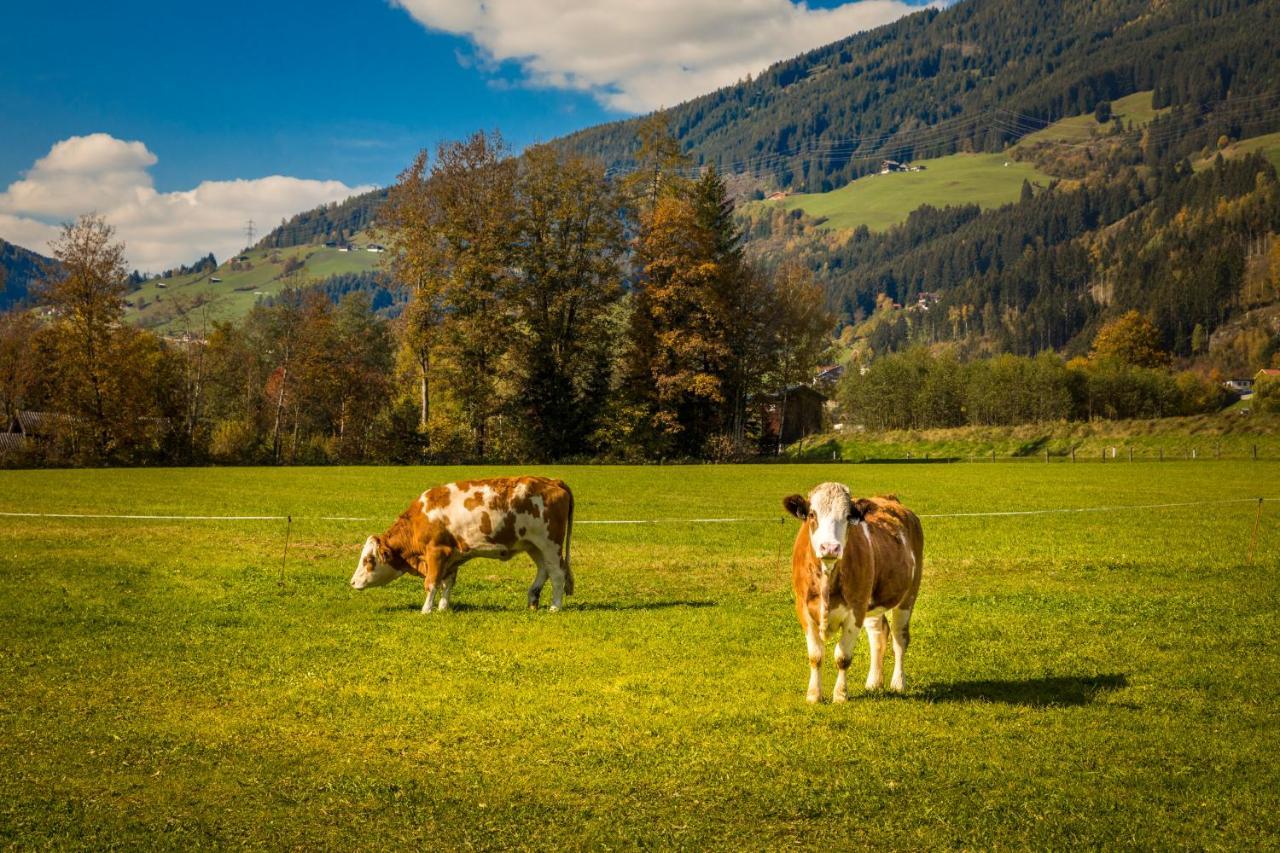Bio-Bauernhof Obertrattenbachhof Neukirchen am Grossvenediger Ngoại thất bức ảnh